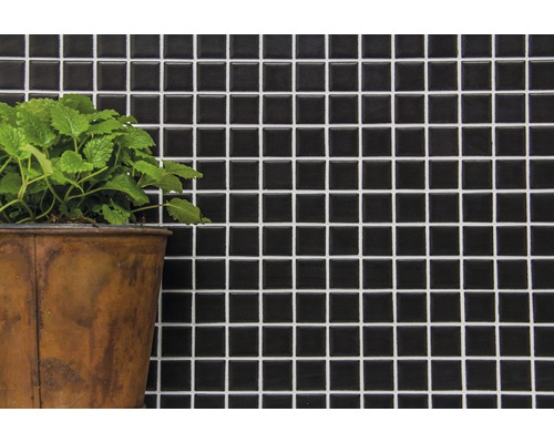 Wandtegel met mozaïekpatroon en plant in pot