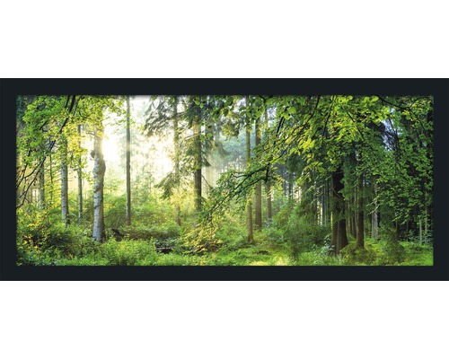 PURE LIVING Schilderij met lijst Forest Harmony 60x130 cm