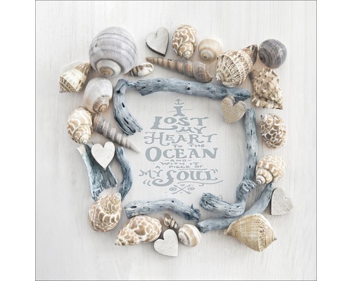Decoratieve lijst van drijfhout, schelpen en harten met oceaan quote