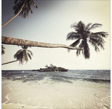 Strand met palmbomen en klein eiland in zee