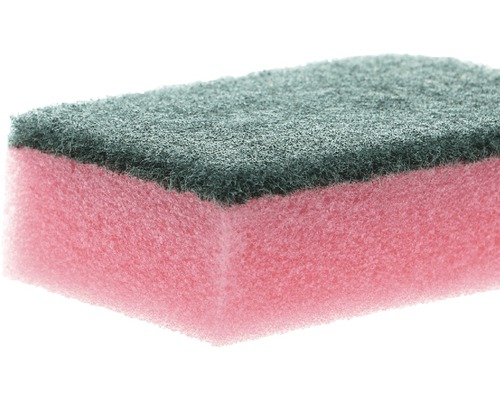 Reinigingsspons met schuurvlies