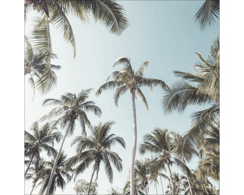 PURE LIVING Schilderij canvas Palms On Beach II 27x27 cm