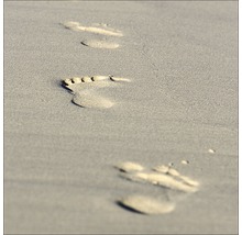 Voetafdrukken in het zand
