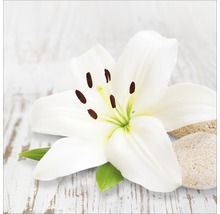 Close-up van een witte lelie met stenen
