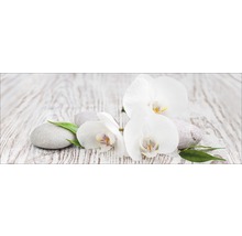 Witte orchideeën bloemen met stenen en groene bladeren op hout