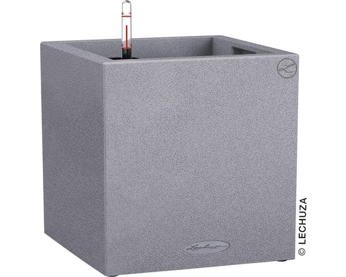 LECHUZA All-in-One Set Plantenbak Stone Canto Kunststof grijs 30x30x30 cm Grijze Lechuza plantenbak met waterniveau-indicator