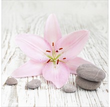 Roze lelie met decoratieve stenen op houten achtergrond
