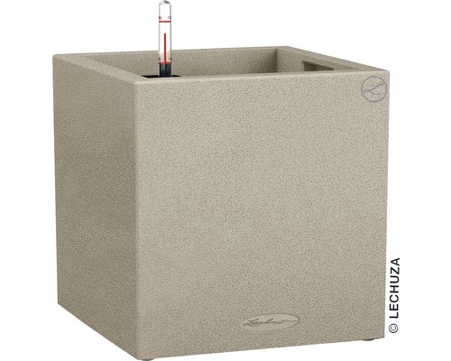 LECHUZA All-in-One Set Plantenbak Stone Canto Kunststof beige 30x30x30 cm Vierkante plantenbak met waterniveau-indicator
