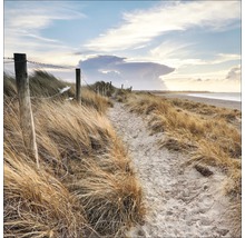 Zandpad op het strand met duinen en houten hek