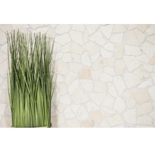 Decoratieve kunstplant voor een stenen muur