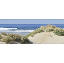 Strandhaver op zandduin met uitzicht op zee