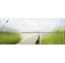 Houten steiger die tussen het riet het water in loopt