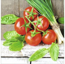 Verse tomaten, bieslook en sla op houten tafel