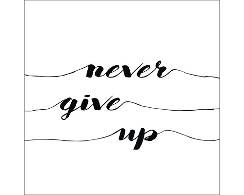 Illustratie met de tekst Never Give Up