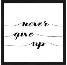Ingelijste kunstdruk met de tekst Never Give Up