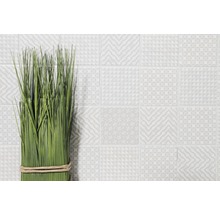 Decoratieve groene grassen met licht gemusterde tegels op de achtergrond.
