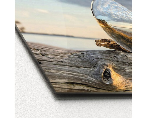 Glasfoto met een foto van een boomstam en een reflecterende bol