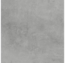 Wand- en vloertegel HOMEtek grijs lappato 60x60 cm gerectificeerd