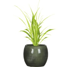 Kunstplant in pot