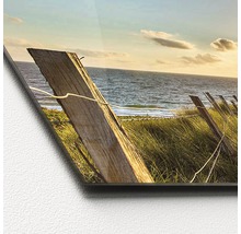 Acrylglasfoto met een duinlandschap en een houten hek