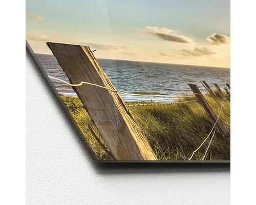 Acrylglasfoto met een duinlandschap en een houten hek