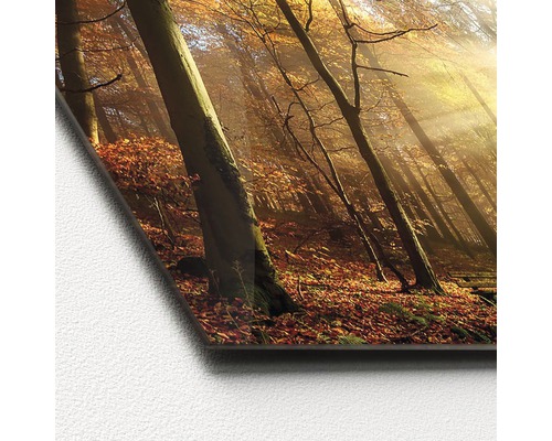 Decoratieafbeelding met herfstbosmotief op acrylglas