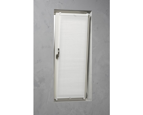 Raam met plisségordijn voor lichtregulering