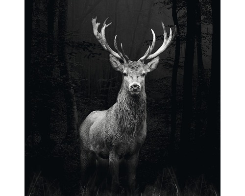 PURE LIVING Schilderij glas Grey Deer Head 30x30 cm