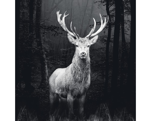 PURE LIVING Schilderij glas Grey Deer Head 50x50 cm
