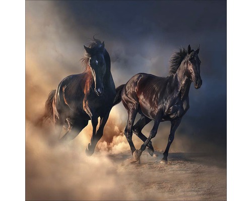 PURE LIVING Schilderij glas Running Horses 50x50 cm