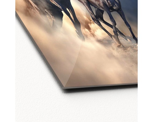 Detailopname van een acrylglas foto met het motief van galopperende paarden