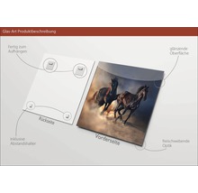 Glazen foto met paardenmotief, inclusief afstandhouders en ophangsysteem