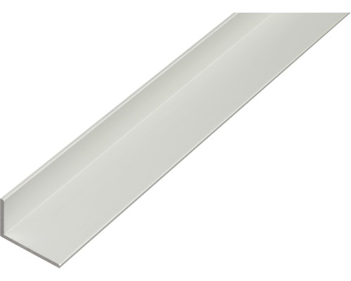 KAISERTHAL Hoekprofiel 30x20x2 mm aluminium zilver 200 cm KAISERTHAL Hoekprofiel 30x20x2 mm aluminium zilver 200 cm