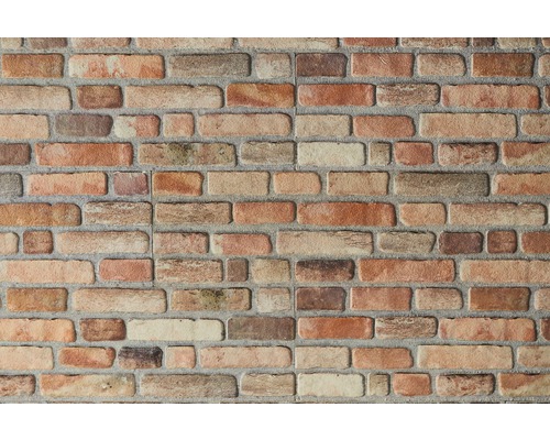 Close-up van een wandtegel met baksteenmotief.