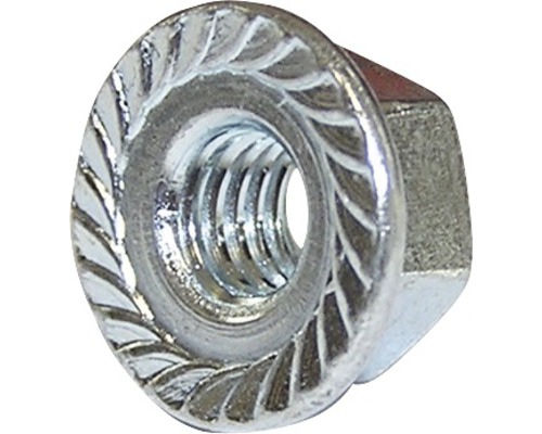 Metalen flensmoer