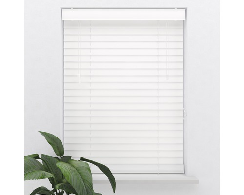 Witte jaloezie voor het raam