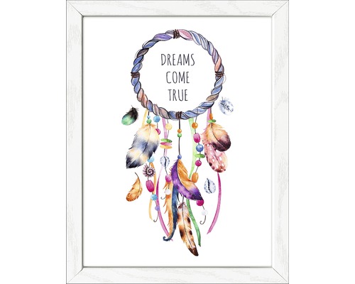 "Ingelijste afbeelding met dromenvanger, veren en de tekst ""Dreams Come True""."