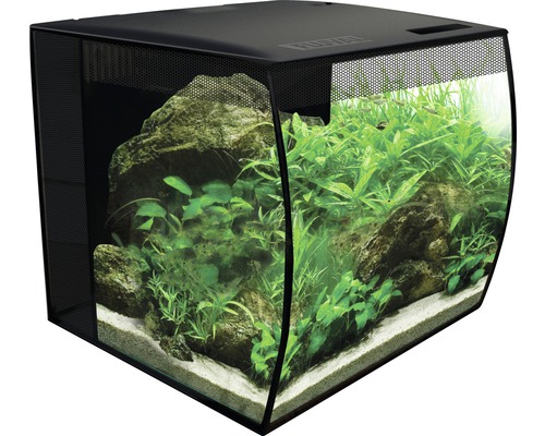 Aquarium met stenen en planten