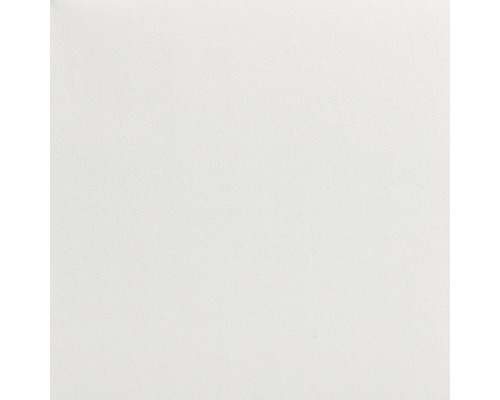LECO Schildersvlies voorgeschilderd premium 195 gr/m² wit 1x50 m