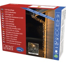 LED-lichtsnoer voor buitengebruik, 400 lampjes