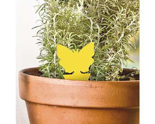 Gele insectenval in vlindervorm in een plantenpot.