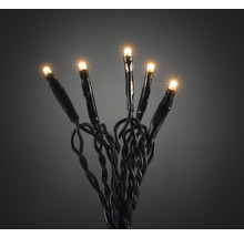 LED-lichtslinger met warmwitte lampjes en zwarte kabel