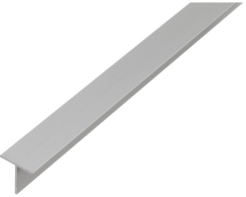 KAISERTHAL T-profiel 20x20x1,5 mm aluminium zilver 100 cm
