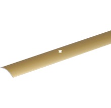 KAISERTHAL Overgangsprofiel 40x1 mm aluminium goud, 100 cm-thumb-0