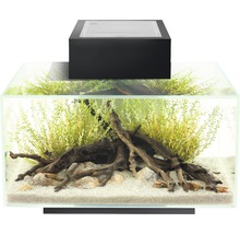 FLUVAL Aquarium Edge 2.0 LED zwart 23 L, 54x43x40 cm-thumb-4