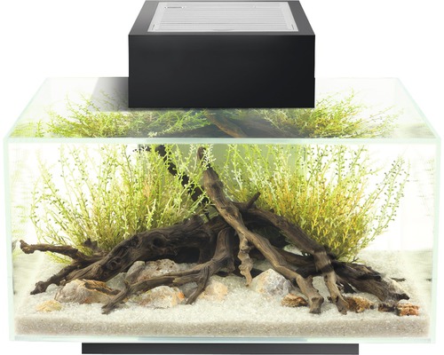 Aquarium met decoratie en verlichting
