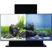 FLUVAL Aquarium Edge 2.0 LED zwart 23 L, 54x43x40 cm-thumb-6