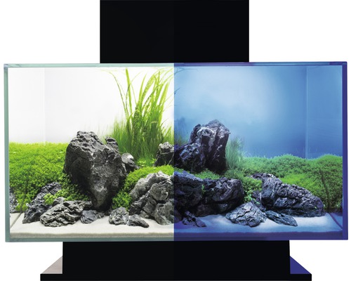 Aquarium met planten en stenen op onderkast