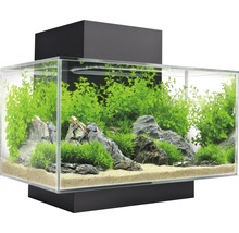 FLUVAL Aquarium Edge 2.0 LED zwart 23 L, 54x43x40 cm-thumb-1