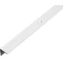 Aluminium traprandprofiel met schroefgaten